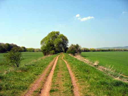 Wandern Natur Deutschland