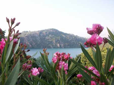Griechenland Oleander Küste - Griechenland billig Urlaub