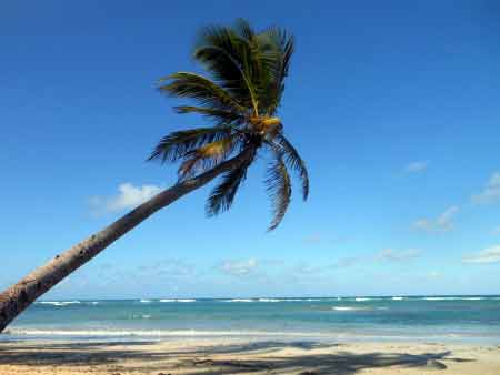 Strandurlaub Afrika